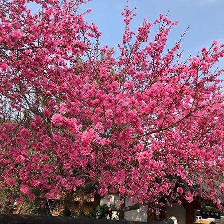 Hotel Buyongheon Jeonju Zewnętrze zdjęcie
