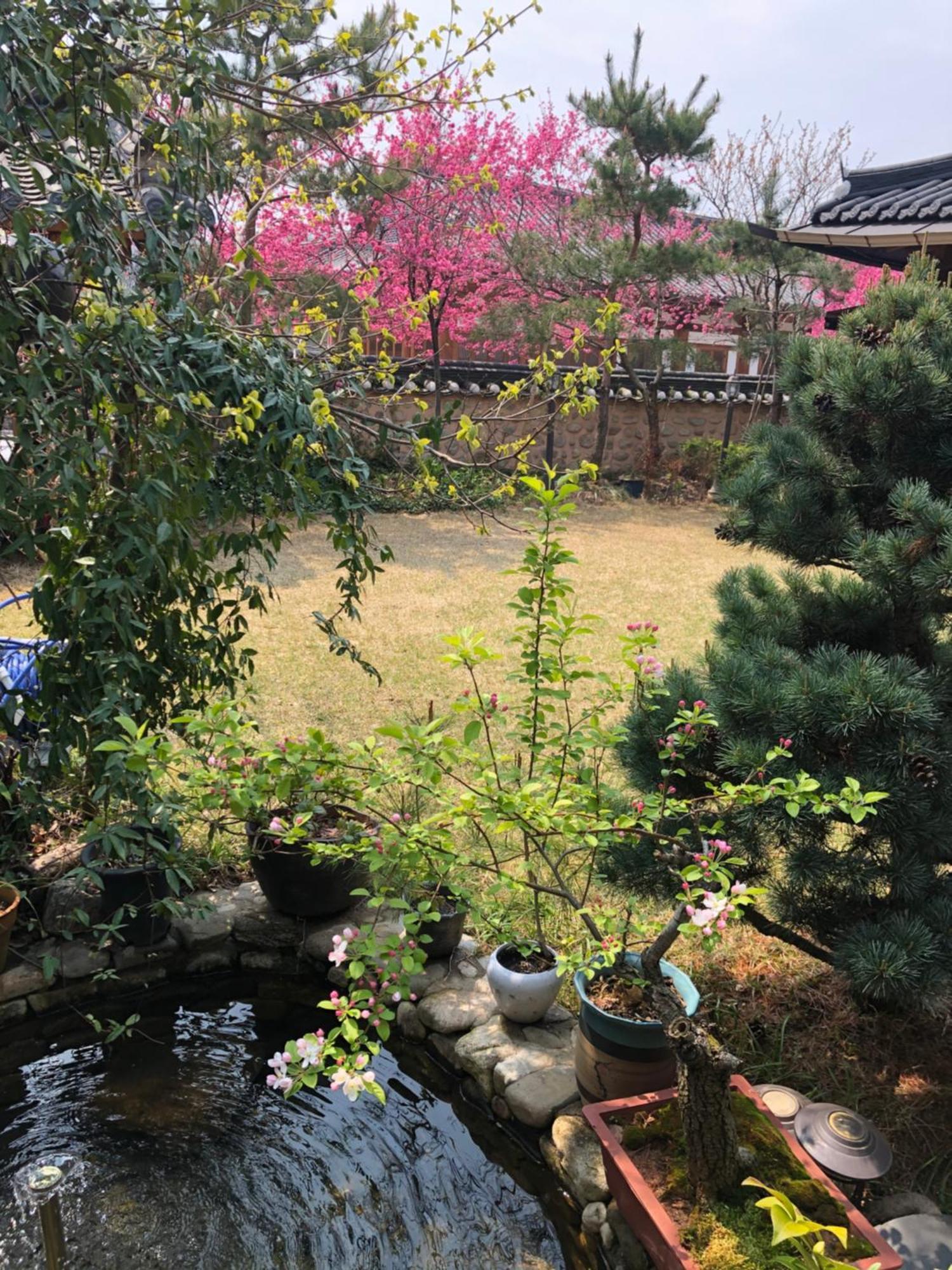 Hotel Buyongheon Jeonju Zewnętrze zdjęcie